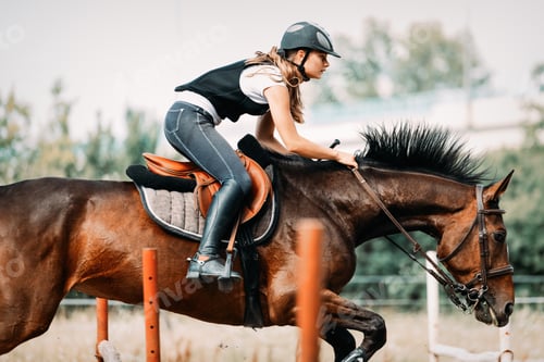 Preview: Picture of young pretty girl riding horse