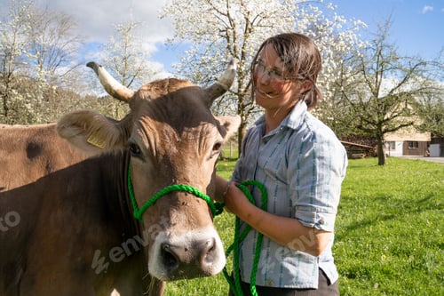 Preview: Smiling farmer with a cow on pasture