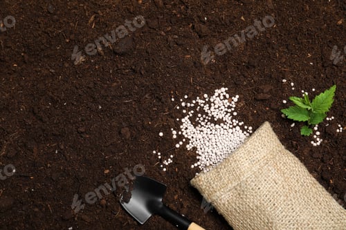 Preview: Flat lay composition with plant, fertilizer and shovel on soil, space for text. Gardening time