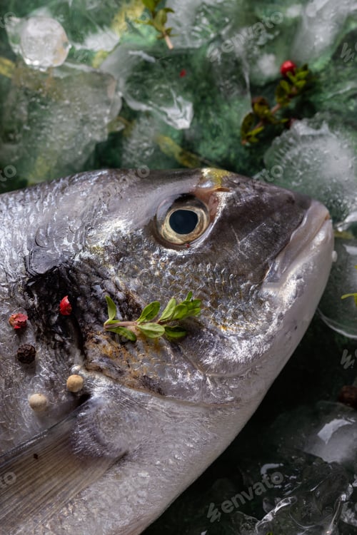 Preview: Close up of raw dorado fish