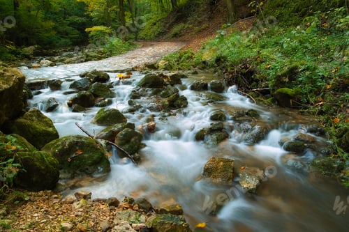 Preview: Flowing stream in autumn forest