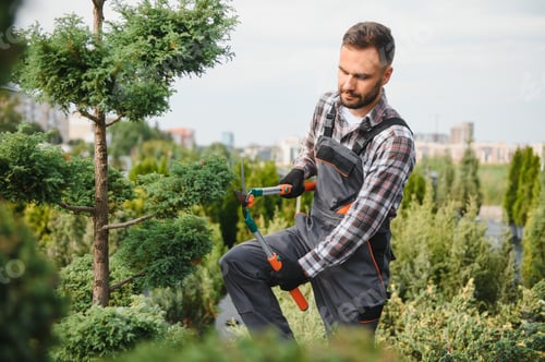 Preview: Garden Pruning Works to Maintain the Appearance of Shrubs, Bushes, Trees and Other Plants.