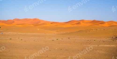 Preview: Sahara desert under the sunlight and a blue sky in Morocco in Africa