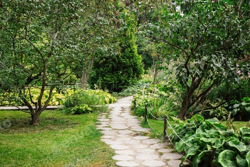 Preview: Stone Pathway Through Lush Green Garden