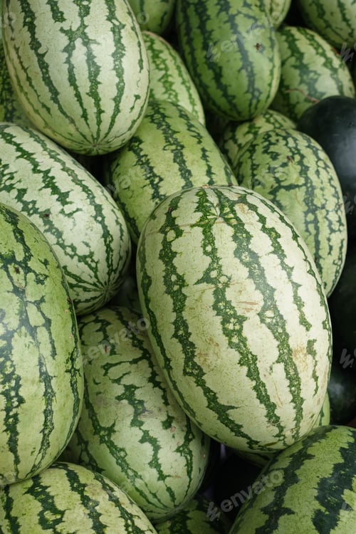 Preview: displaying many fresh water melon