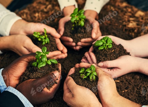 Preview: To grow youve got to get your hands dirty