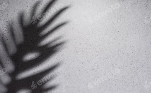 Preview: Shadows from palm leaves