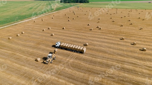 Preview: Agricultural tractor loads wheat straw on truck. Aerial view. Agricultural machinery