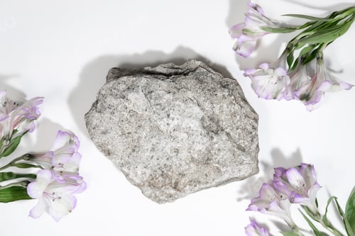 Preview: Concrete stone podium on a white gray background with hard shadows and plant, flowers.