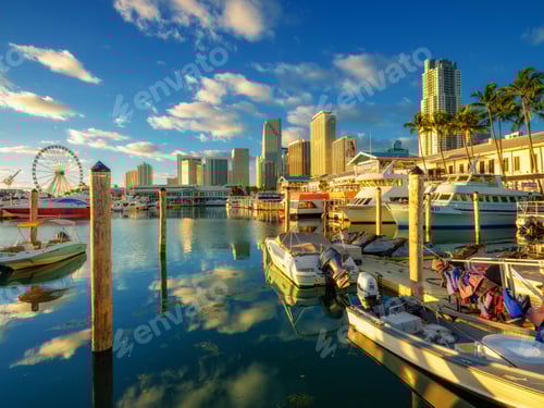 Preview: Miami yacht club at sunrise