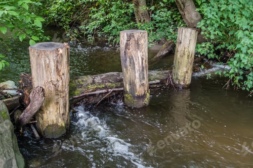 Preview: A View Of Three Posts In A Stream In Normandy Park, Washington.