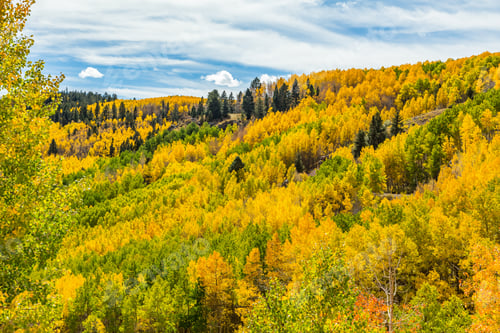 Vorschau: Wunderschöne Berglandschaft mit Bächen, Tälern und Bäumen mit wechselnden Farben entlang einer Zugstrecke von