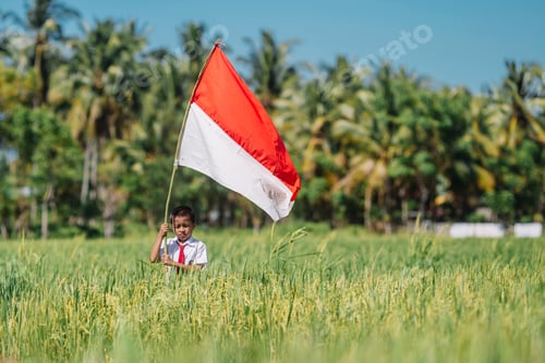 Preview: Child Holds National Flag in Rice Field