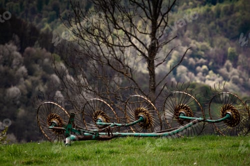 Preview: Hay rake in grassland with dead tree behind it and mountain in the background