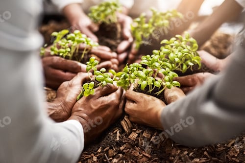 Preview: Growing success together