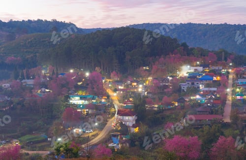 Preview: Sakura cherry flowers blossom trees of national park. Natural landscape background. Pink color