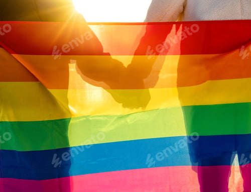 Preview: LGBTQ couple holding hands on the background of the rainbow flag.