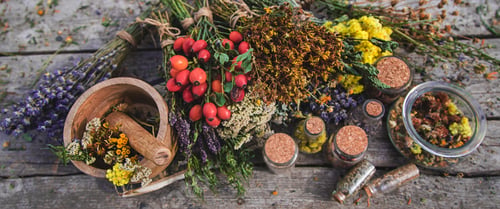 Preview: Dried medicinal herbs on the table. Selective focus.