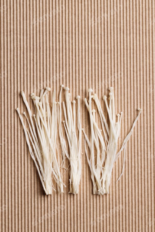Preview: white enoki mushrooms on brown background. Natural medicine, reduce stress and improve immunity