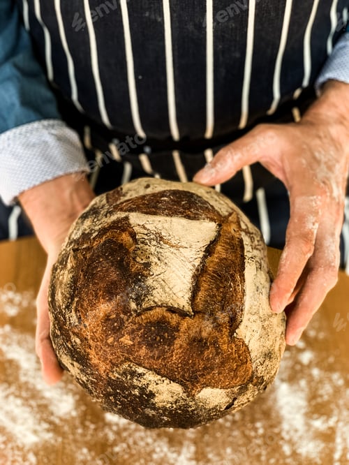 Preview: A man in stripped apron is holding freshly baked sourdough bread. Traditional french loaf