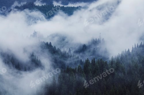 Preview: twilight landscapw with fog above forest