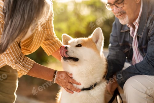 Preview: Happy glad senior caucasian wife and husband in glasses stroking dog in park, close up, cropped