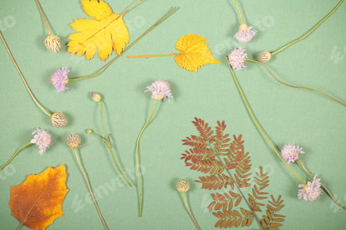 Preview: On A Bright Background Lie Autumn Leaves Background Image