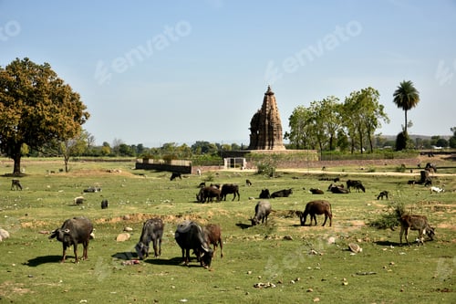 Preview: Khajuraho Temple, It is a UNESCO world Heritage site, Khajuraho, Madhya Pradesh, India.