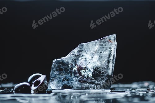 Preview: close-up view of ripe sweet cherries with melting ice cube on black