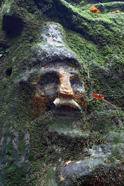 Preview: Face of dwarf covered by moss - old rock relief