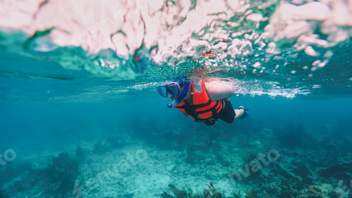 Preview: split shot of a tourist doing snorkeling with the mandatory lifejacket