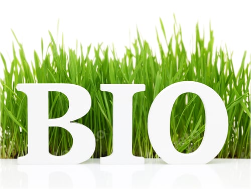 Preview: Word "Bio" with fresh grass isolated on white