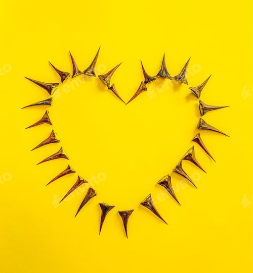 Preview: Wild rose thorns arranged in a heart shape on a yellow background - A symbol of love and its protect