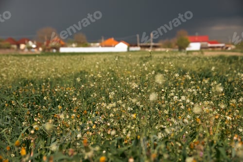 Preview: Stormy sky over spring rural landscape.