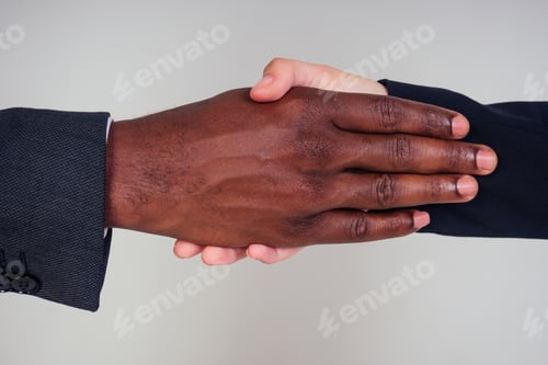 Preview: Handshake between tao african amtrican man