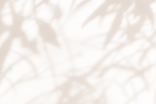 Preview: Brown shadow of olive tree plant on the wall. Sunlight effect shadow on the wall.