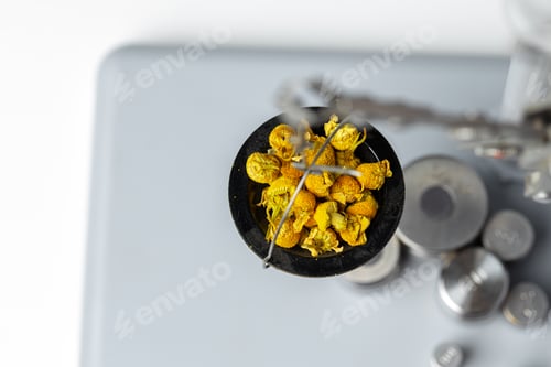 Preview: Laboratory scales with dry plants. Scientific research of plants concept