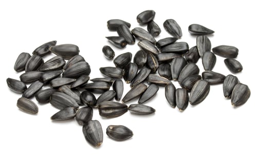 Preview: Sunflower seeds isolated on white background close up