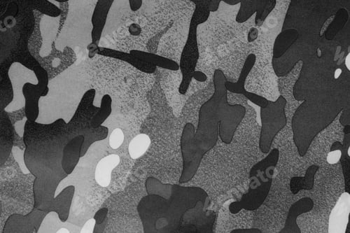 Preview: Texture of camouflage fabric as background, top view. Black and white effect