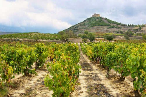 Preview: Vineyards and Davalillo castle, La Rioja (Spain)