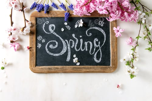 Preview: Spring blossom flowers