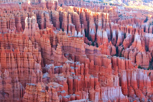 Preview: Bryce