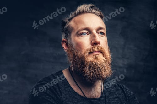 Preview: Portrait of redhead bearded male.