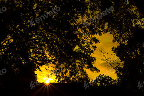 Preview: abstract nature sunset, vintage filter image