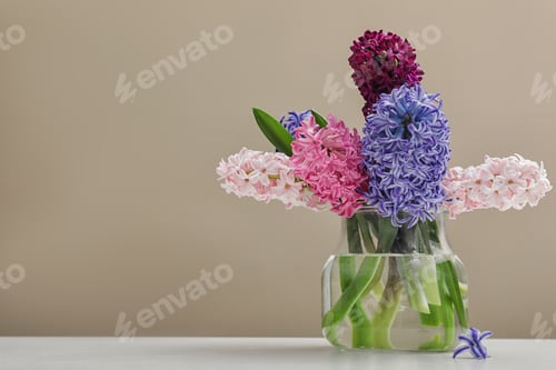 Vorschau: Schöne Hyazinthen in Glasvase auf Tisch vor farbigem Hintergrund, Platz für Text. Blumen im Frühling