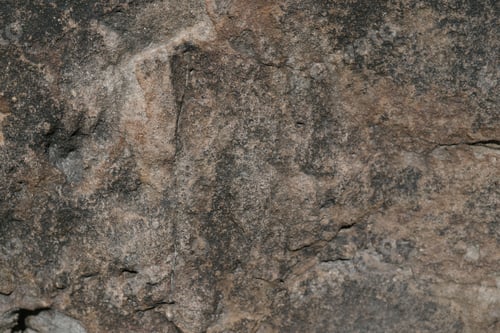 Preview: Dark Brown Textured Rock Surface Close-Up