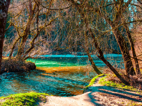 Preview: Beautiful view of a calm lake shore with trees