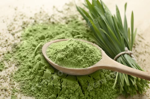 Preview: Wooden spoon with wheat grass powder and green sprouts on table