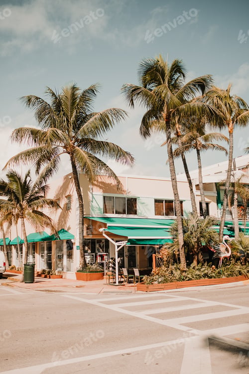 Preview: MIAMI, USA - November 13, 2018: View of beautiful city street