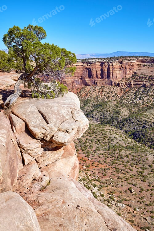 Preview: Cliff in the Colorado National Monument canyon, Colorado, USA